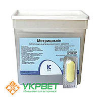 Метрициклін таб №100