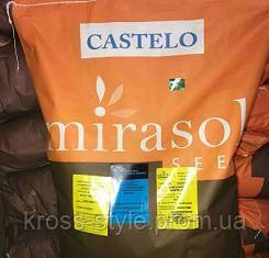 Насіння соняшнику, MIRASOL SEED, КАСТЕЛО OR7
