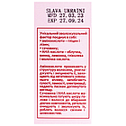 Шовк для волосся з кератином і кислотами Hollyskin Acid Solution 30 мл, фото 9