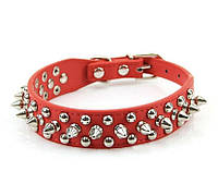 БДСМ нашийник, ошейник