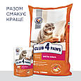Сухий корм Клуб 4 Лапы Adult Cats With Veal для дорослих котів з телятиною, 14 КГ, фото 9