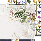 Набір двостороннього паперу 30х30см від Scrapmir Herbarium Wild summer  10шт SM6600011, фото 4