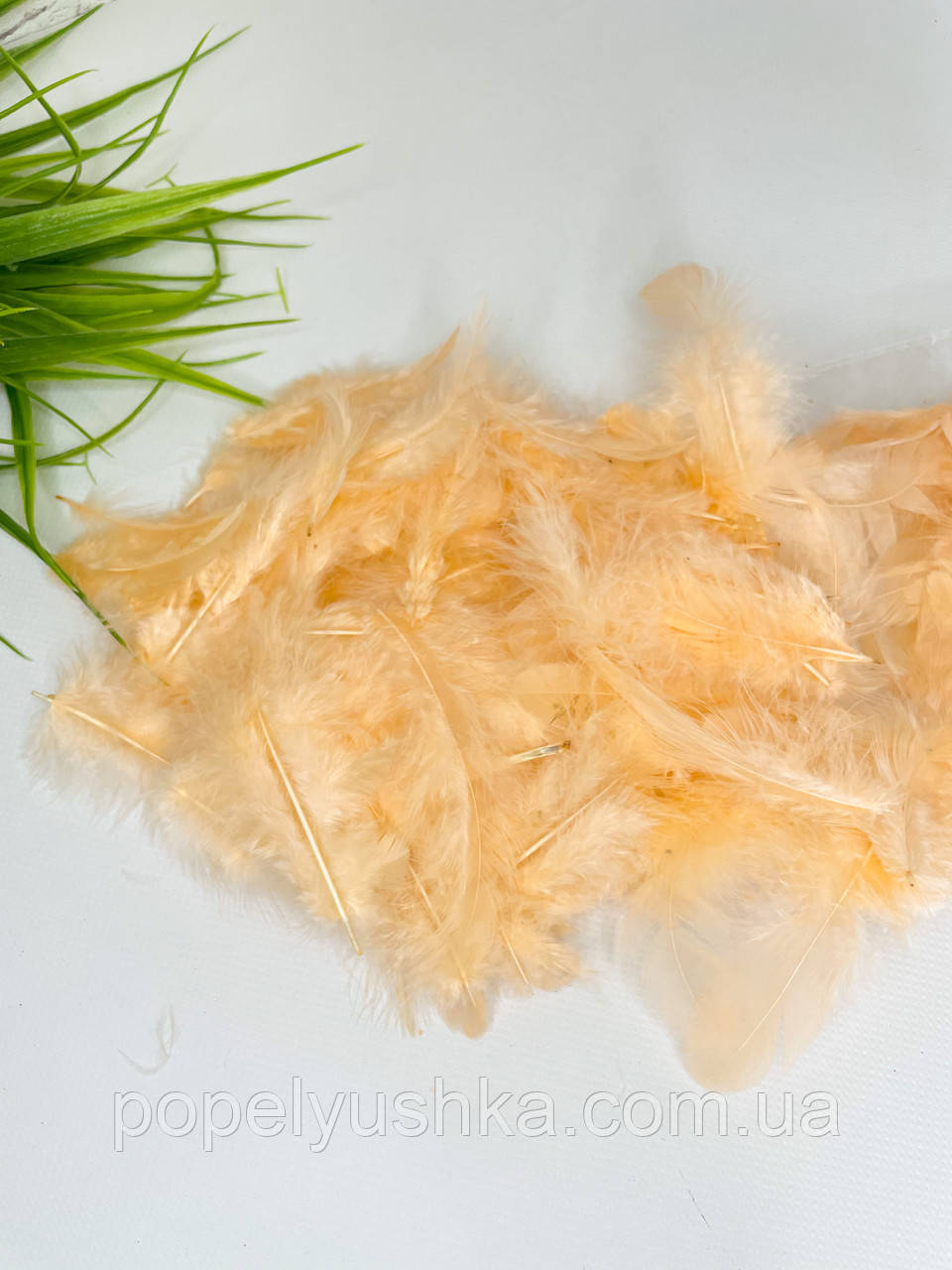 Пір'я персикове упаковка, фото 1