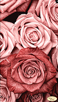 Схема для вышивки бисером Пудровые розы (Полная зашивка). Цена указана без бисера