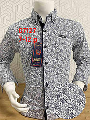 Дитяча сорочка AND 7-12 з принтом