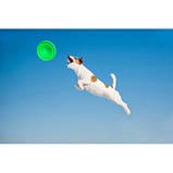 Іграшка для собак літаюча тарілка Флайбер, фото 8