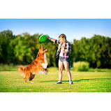 Іграшка для собак літаюча тарілка Флайбер, фото 9