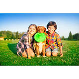 Іграшка для собак літаюча тарілка Флайбер, фото 10