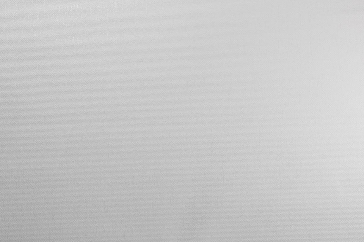 Світлі однотонні шпалери, Шпалери на флізеліновій основі білі LS Атрей ДХС-1477/1 (1,06 х10,05м)