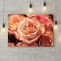 Картина на стену, картины на кухню, картины для кофейни, картины в интерьере кафе Красивые розы, 90х65 см