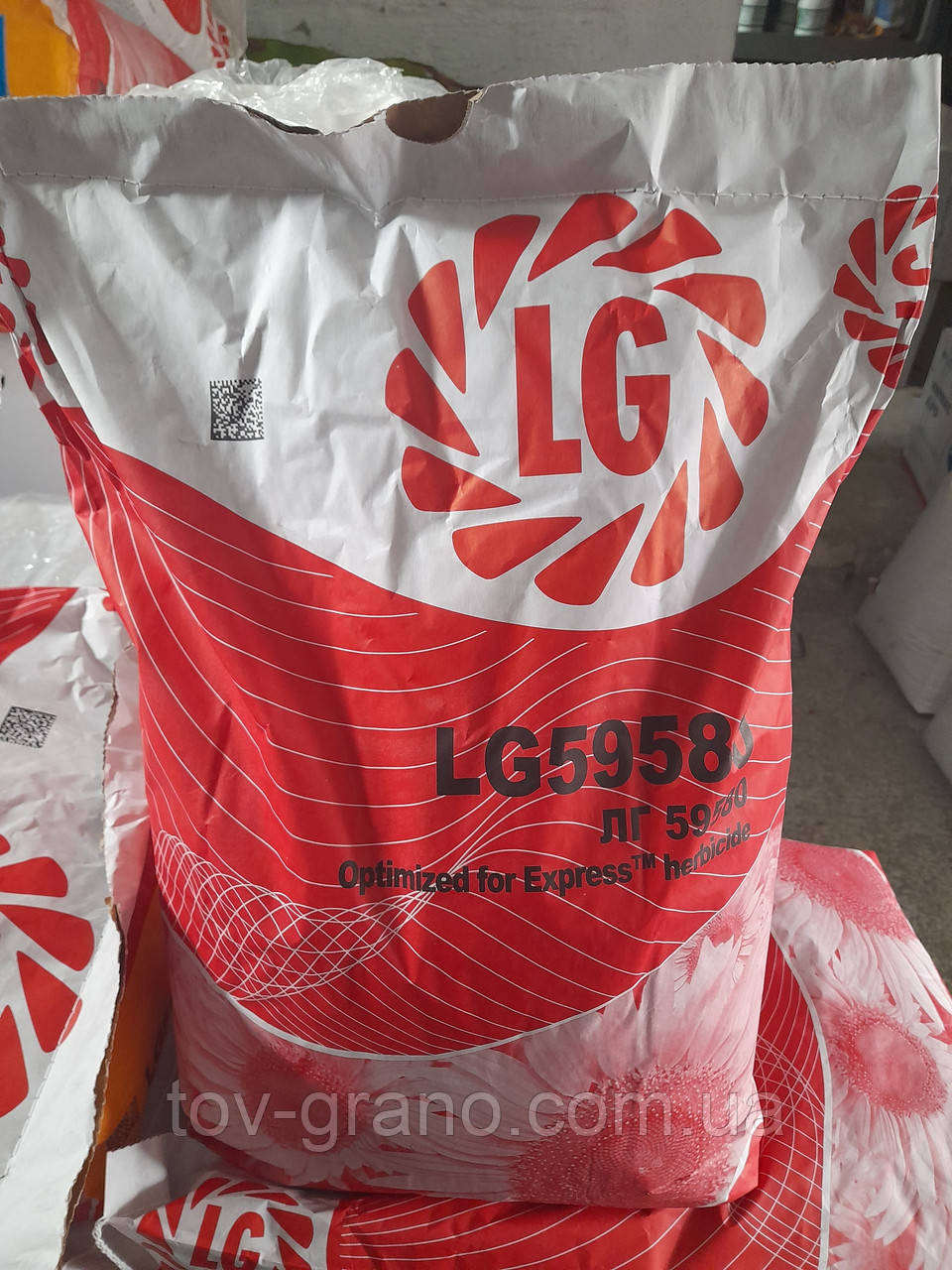 Насіння соняшника Limagrain 59580 Круїзер стійке до технології ExpressSun