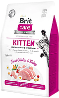 Сухой корм для котят с индейкой и курицей Brit Care Cat GF Kitten HGrowth & Development 2 кг