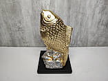Статуетка Золота рибка 26 см - Подарунок рибалці Золотий короп 1500 грамів, фото 3
