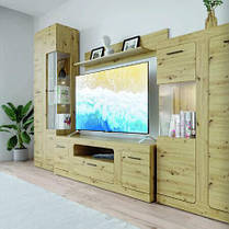 Тумба під телевізор Тотен RTV160  490х1600х400мм Гербор, фото 5