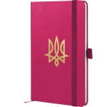 Нотатник Axent Partner Tryzub 8201-50-3-A, 125x195 мм, 96 аркушів, клітинка, малинова