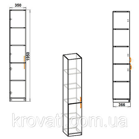 Пенал-вітрина КШ-9, Компаніт, Німфеа альба, фото 2