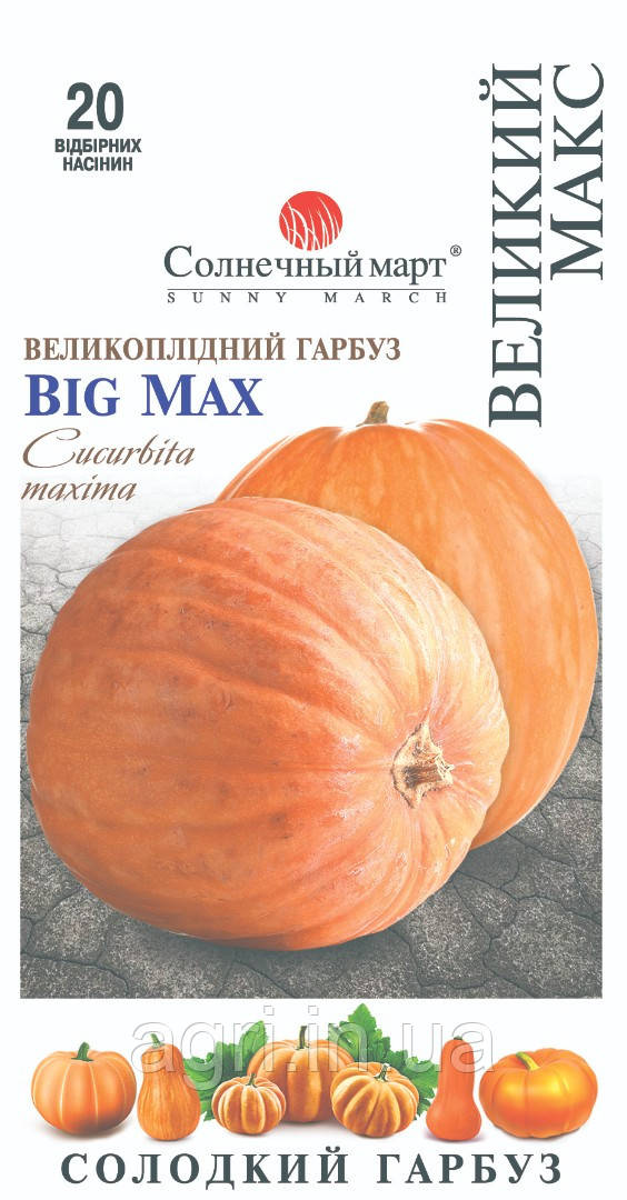 Гарбуз Великий Макс, 20шт.