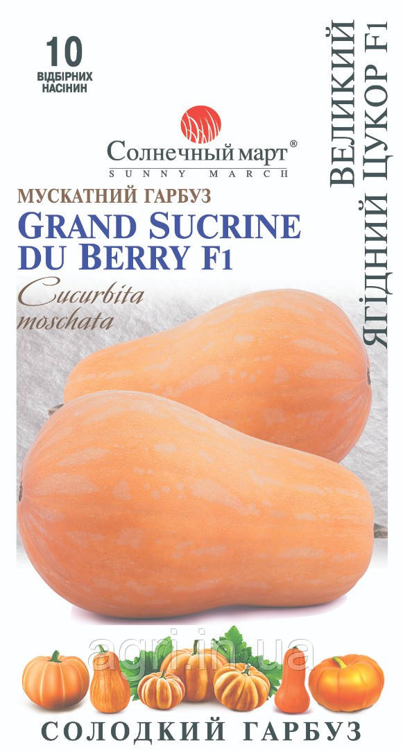 Гарбуз  Великий ягідний цукор F1, 10шт.