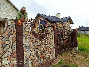 Забір кований Астра, фото 2