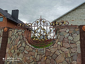 Забір кований Астра, фото 1