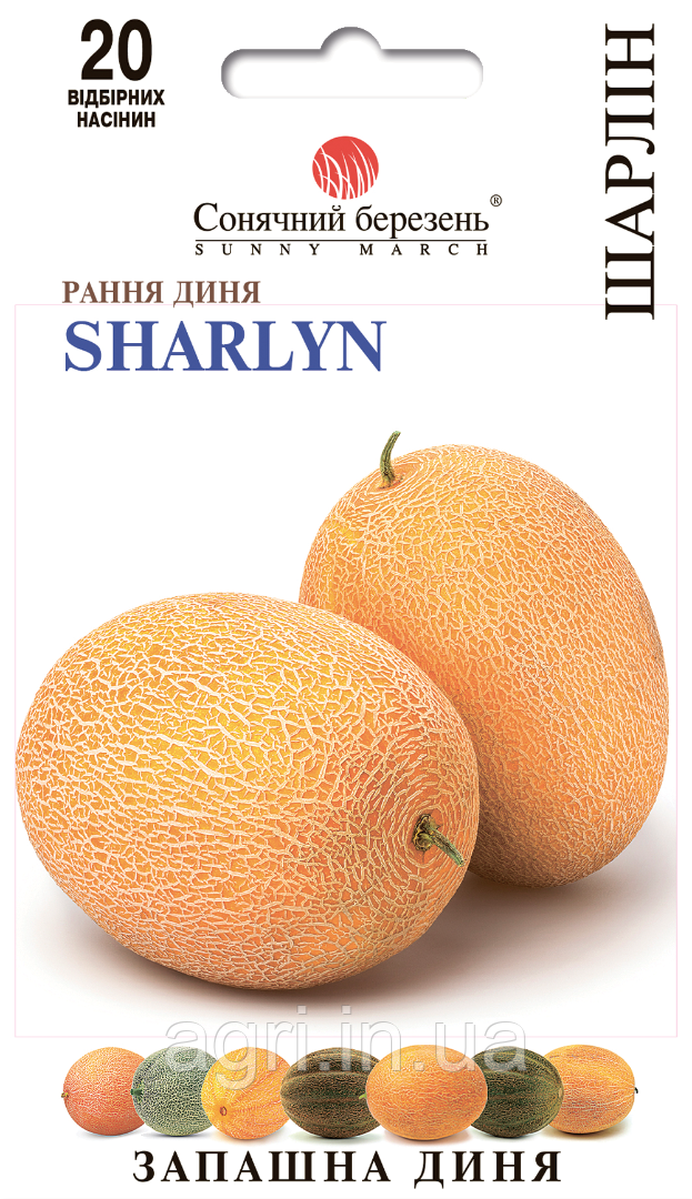 Диня Шарлін, 20шт.