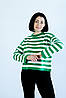 Кофта жіноча спущений рукав біла в зелену смужку, фото 4