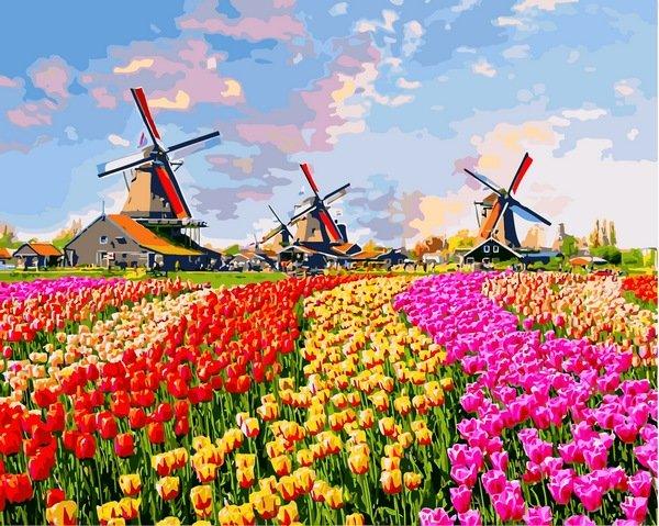 Руквіт Картина за номерами (VP1434) Різнобарвні тюльпани, 40 х 50 см, DIY Babylon