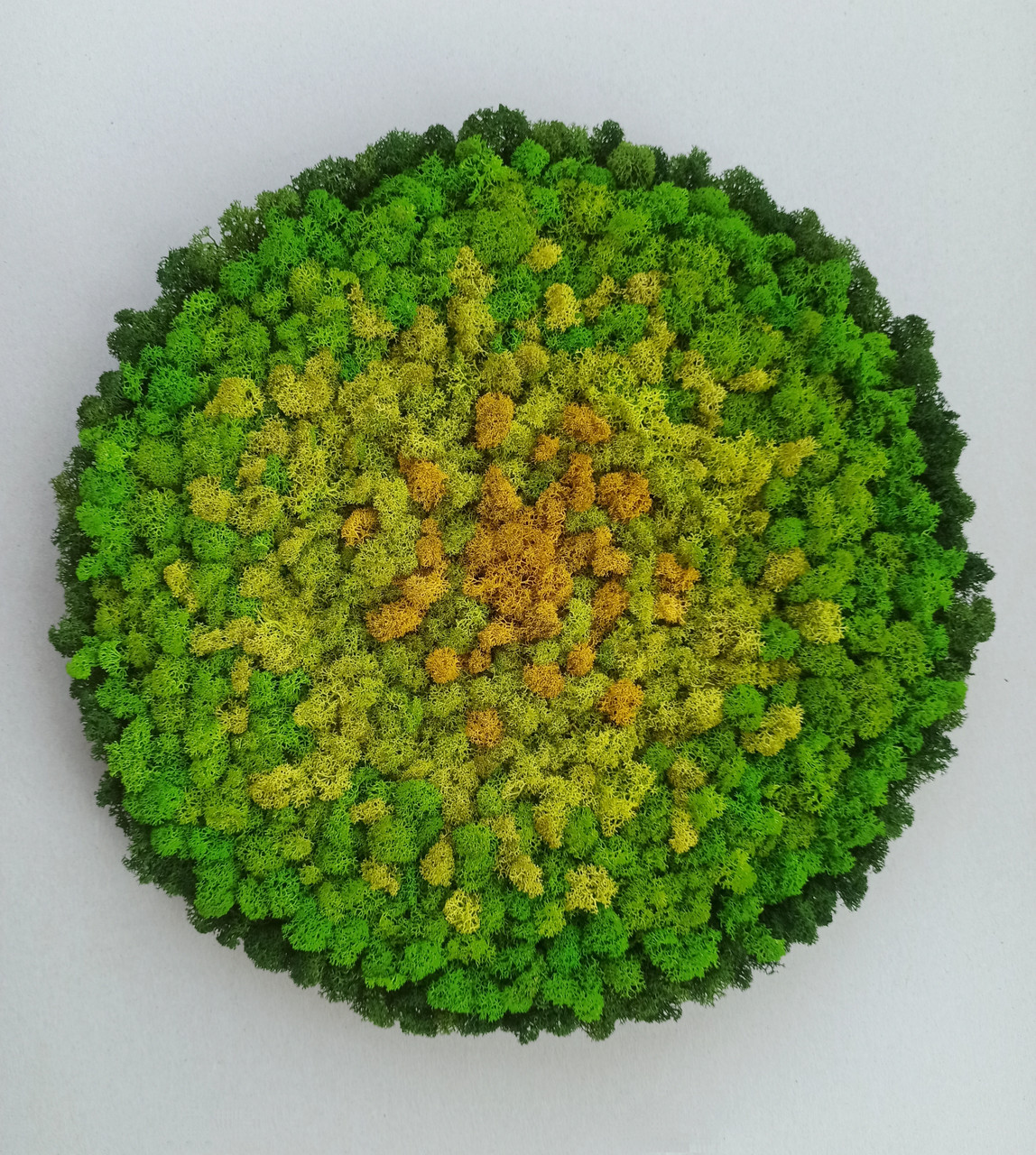 Кругла картина з моху на стіну від 40 см, фото 1