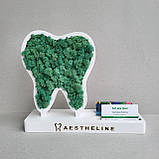Подарунок стаматологу. Зуб з мохом на підставці з візитницею, фото 2