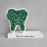 Декор в стоматологію, практичний та оригінальний подарунок стоматологу - візитниця з логотипом та зубом з моху, фото 2