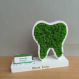 Подарунок стаматологу. Зуб з мохом на підставці з візитницею, фото 4