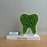 Подарунок стаматологу. Зуб з мохом на підставці з візитницею, фото 7