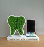 Подарунок стаматологу. Зуб з мохом на підставці з візитницею, фото 6