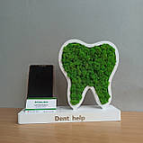 Подарунок стаматологу. Зуб з мохом на підставці з візитницею, фото 10