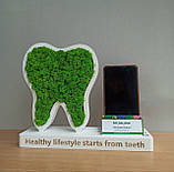 Декор в стоматологію, практичний та оригінальний подарунок стоматологу - візитниця з логотипом та зубом з моху, фото 4