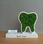 Декор в стоматологію, практичний та оригінальний подарунок стоматологу - візитниця з логотипом та зубом з моху, фото 6
