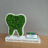 Декор в стоматологію, практичний та оригінальний подарунок стоматологу - візитниця з логотипом та зубом з моху, фото 7