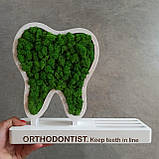 Декор в стоматологію, практичний та оригінальний подарунок стоматологу - візитниця з логотипом та зубом з моху, фото 5
