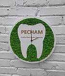 Настінний Годинник зі стабілізованого моху в стоматологію, стоматклініку. Подарунок стоматологу, фото 3