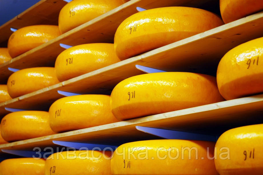 ПОКРИТТЯ (500г) для сирів (латекс) жовтого кольору