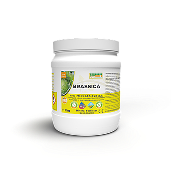 Грогрин Гель 9-9-39 7MgO+TE 1 кг BRASSICA УВАГА ТЕРМІН ПРИДАТНОСТІ 04.2024