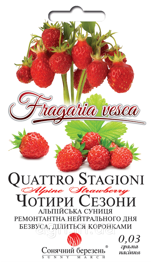 Суниця Чотири сезони, 0,03 г.