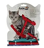 Поводок+шлея AnimAll на блистере для кота, 10х1200 мм (Колір уточнюйте!), фото 3