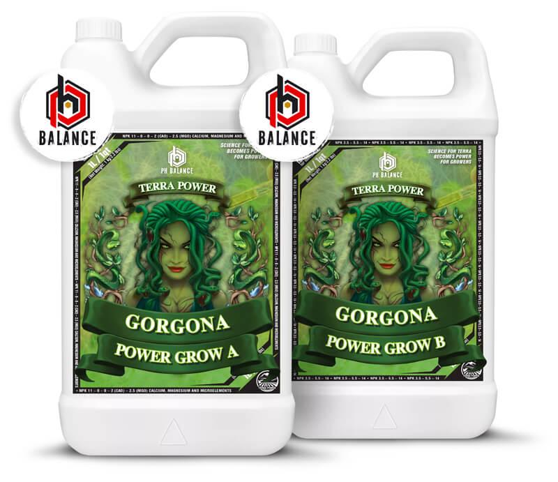 Terra Power GORGONA – POWER GROW A&B 250мл