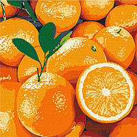 Набор для росписи по номерам картина по номерам "Сочный апельсин" 25х25см
