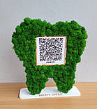 Подарунок стоматологу. Зуб з qr кодом Приват 24 , інстаграм, майту та з мохом на підставі, фото 2