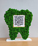 Подарунок стоматологу. Зуб з qr кодом Приват 24 , інстаграм, майту та з мохом на підставі, фото 3
