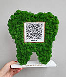 Подарунок стоматологу. Зуб з qr кодом Приват 24 , інстаграм, майту та з мохом на підставі, фото 4