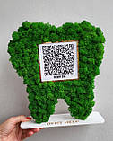 Подарунок стоматологу. Зуб з qr кодом Приват 24 , інстаграм, майту та з мохом на підставі, фото 5