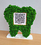 Подарунок стоматологу. Зуб з qr кодом Приват 24 , інстаграм, майту та з мохом на підставі, фото 6